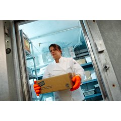 FGI-OR Frozen Food Glove 1 - Orange