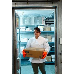 FGI-OR Frozen Food Glove 1 - Orange