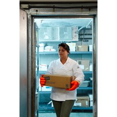 FGI-OR Frozen Food Glove 1 - Orange