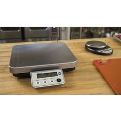 SCDGPC13 NSF LISTED R-SERIES DIGITAL PRTN CNTRL SCALE 13 L  - Stainless Steel