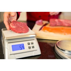 SCDG13 NSF LISTED DIGITAL SCALE 13 LB / 6 KG  - Stainless Steel