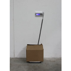 SCDG264 INDUSTRIAL DIGITAL PLATFORM SCALE  - Stainless Steel