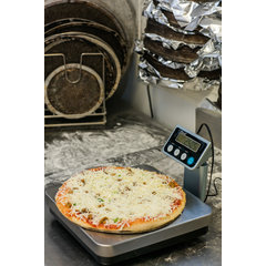SCDGPC13 NSF LISTED R-SERIES DIGITAL PRTN CNTRL SCALE 13 L  - Stainless Steel