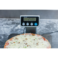 SCDGPC13 NSF LISTED R-SERIES DIGITAL PRTN CNTRL SCALE 13 L  - Stainless Steel