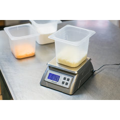 SCDG13 NSF LISTED DIGITAL SCALE 13 LB / 6 KG  - Stainless Steel