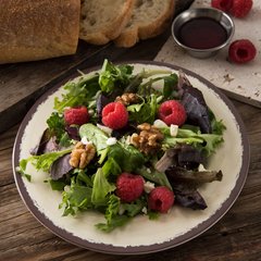 5400253 Mingle™ Melamine Dinner Plate 9" - Sweet Cream