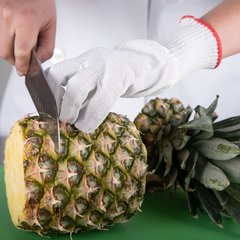 SG10-S Cut-Resistant Glove w/ Spectra® - Small 1 - White