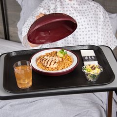 DS2015GR2003 TRAY GT2 RECT 20" X 15" BLK