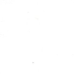 DXPPB524IBFFW Ice Chest Portable Bar 20.16" x 62.5" x 47" - White