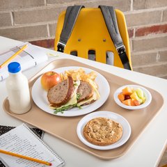 1814FG095 Glasteel™ Fiberglass Tray 18" x 14" - Almond