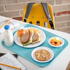 1814FG013 Glasteel™ Fiberglass Tray 18" x 14" - Ice Blue