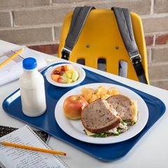 1612FG015 Glasteel™ Solid Rectangular Tray 16.4" x 12" - Navy