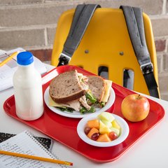 1410FG017 Glasteel™ Solid Rectangular Tray 13.75" x 10.6" - Red