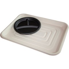 DSTR1418D42 Bagasse Disposable Tray - Sample - Ivory