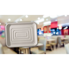 DXTR1418D42 Bagasse Disposable Tray 14" x 18" (100/cs) - Ivory