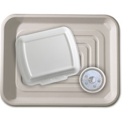 DXTR1418D42 Bagasse Disposable Tray 14" x 18" (100/cs) - Ivory