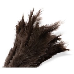4574300 Feather Duster 23" - Brown