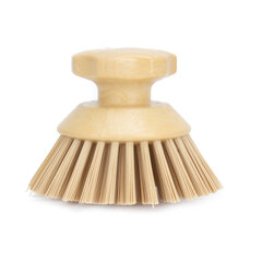 42395EC25 Round Scrub Brush 5in - Tan