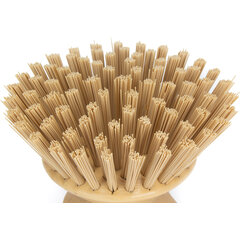42395EC25 Round Scrub Brush 5in - Tan