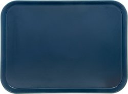DX1089I03 - Glasteel™ Flat Tray 14 x 18 (12/cs) - Onyx