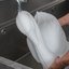 SSW102 - Ice Sculptures™ Swan - White