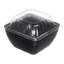 DX11840174 - Dome Lid for Square Bowl 4" x 4" (1000/cs) - Clear