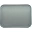 DX1089I23 - Glasteel™ Flat Tray 14" x 18" (12/cs) - Gray