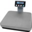 SCDGPC13 - NSF LISTED R-SERIES DIGITAL PRTN CNTRL SCALE 13 L  - Stainless Steel
