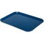 1612FG015 - Glasteel™ Solid Rectangular Tray 16.4" x 12" - Navy