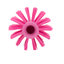 45033EC26 - Color-Coded Pipe & Valve Brush 3 1/2" - Pink