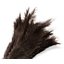 4574300 - Feather Duster 23" - Brown